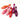 Aliver Bowling Bottle Lip Tint, Waterproof Long-lasting none-stick glass (6 color)