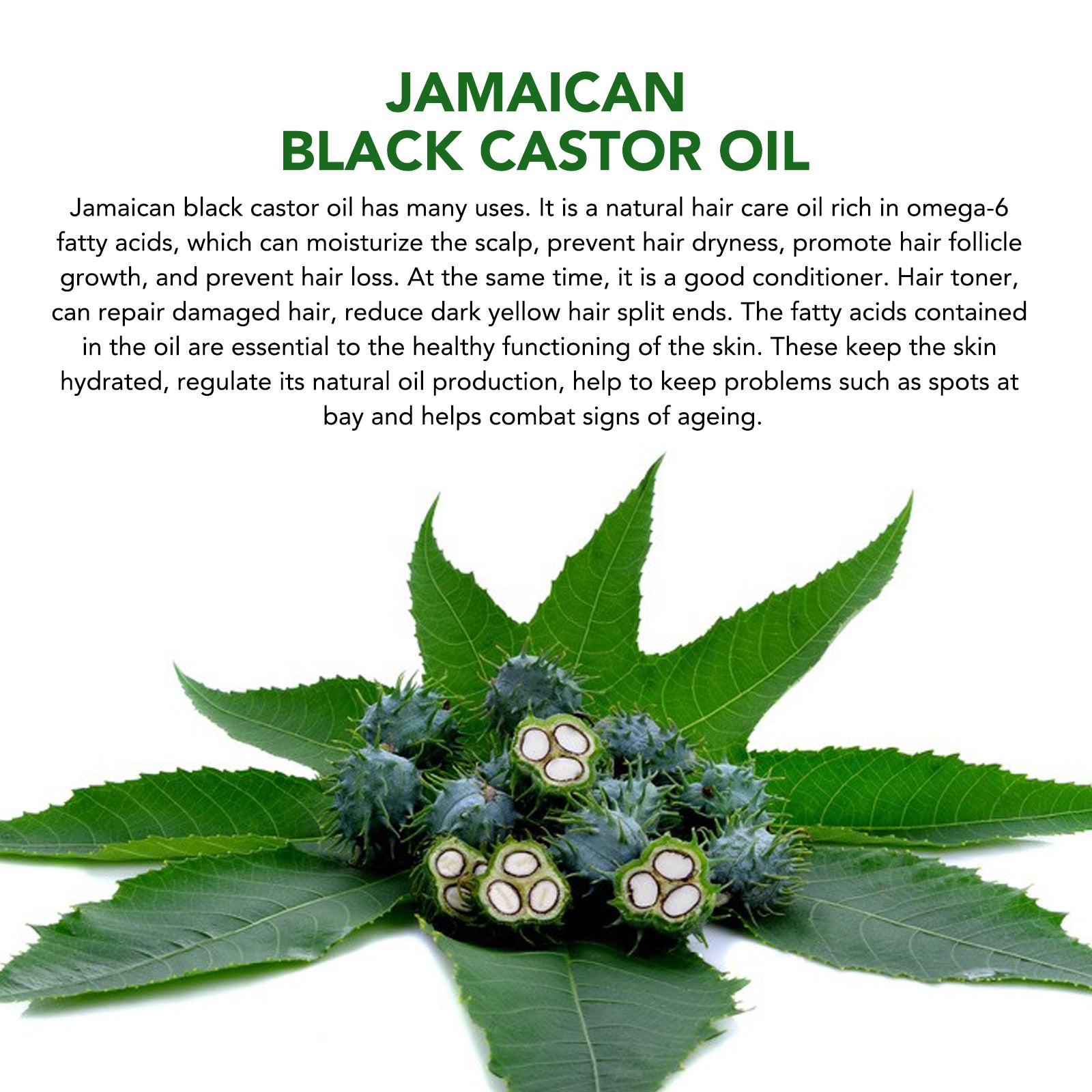 Amazing Jamaican Black Castor Oil View Nature Amazing Jamaican Black Castor Oil View Nature